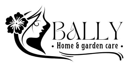 bally2030.com